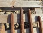 Pneumatic hammer with chisels 14