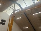 Workshop crane with 500kg Delta hoist 15