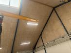 Workshop crane with 500kg Delta hoist 17