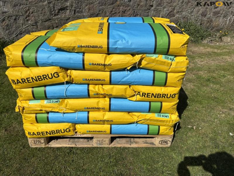 Barenburg standard plænegræs 2