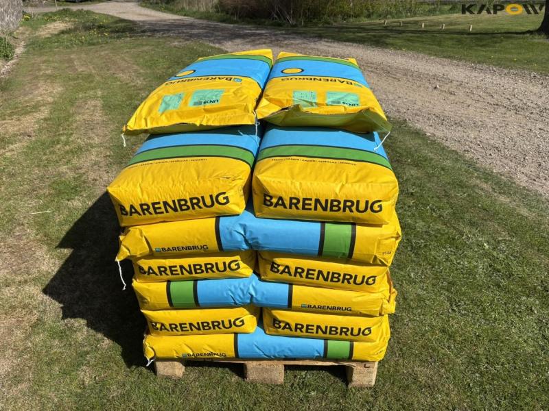 Barenburg standard plænegræs 4
