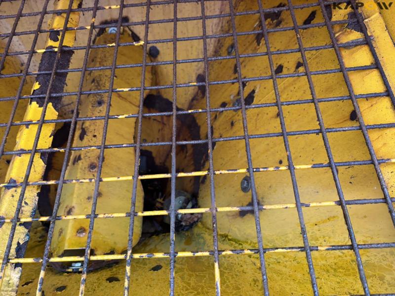 Bøgballe S3 saltspreder 24