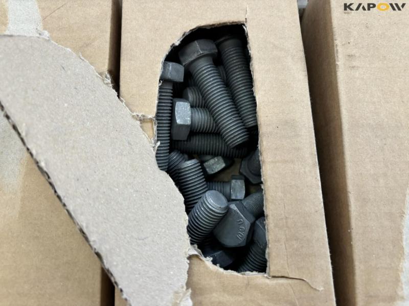 Bolte - Stort parti 22