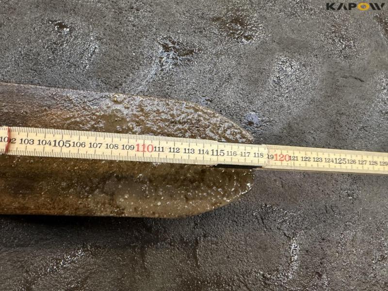 Case 221F læssemaskine 50