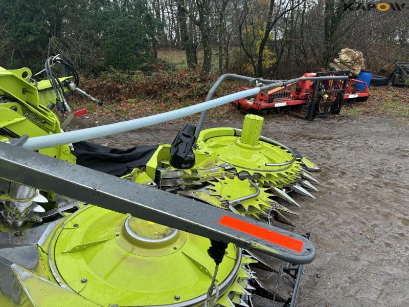 Claas Orbis 750 10 rækker majsbord 23