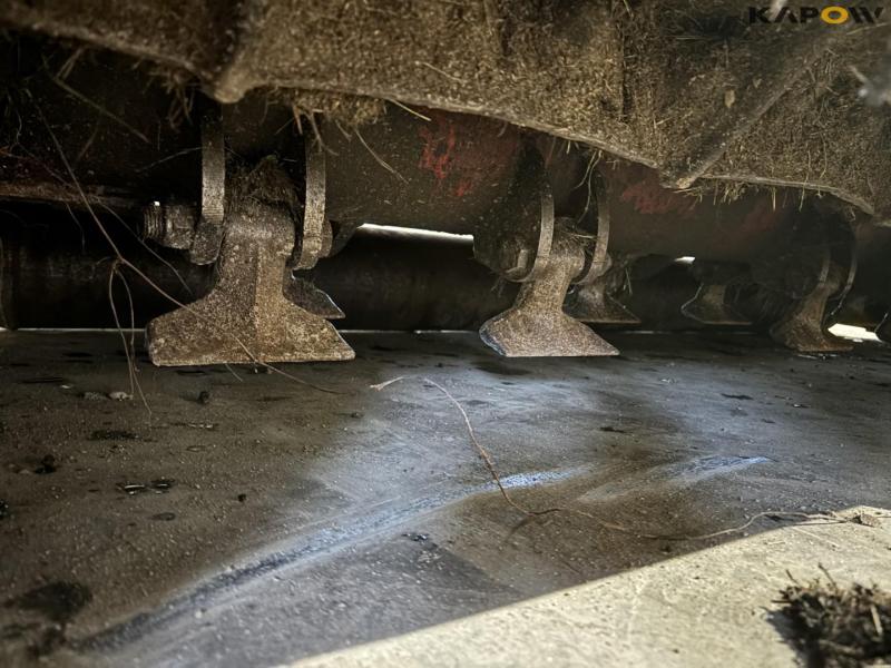 Concept Perugini slagleklipper 14