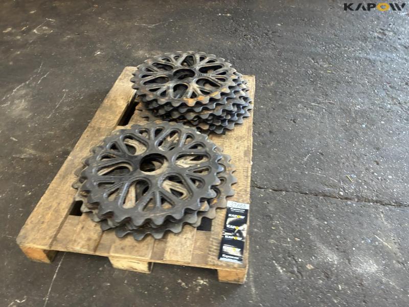 Dalbo 50 cambridge ringe 2