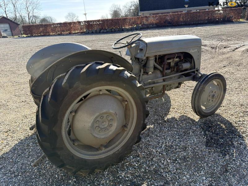 Ferguson TEA20 traktor 5