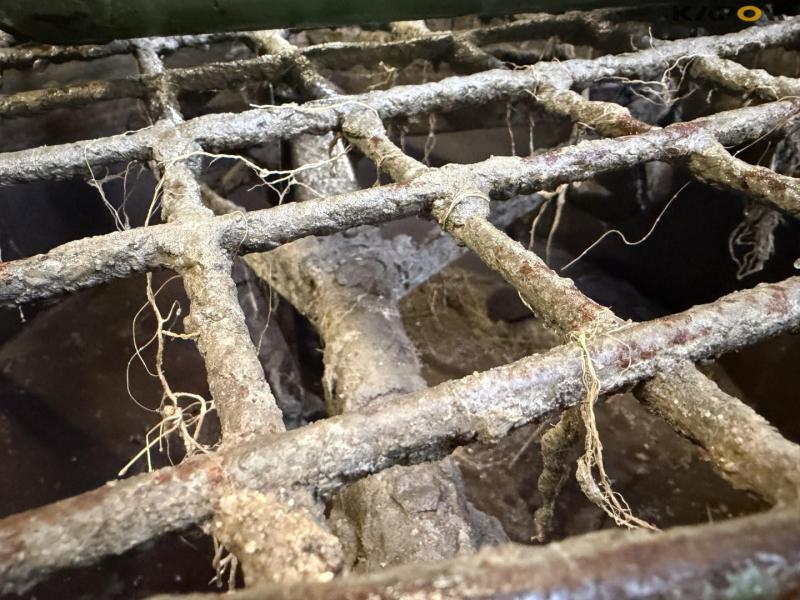 Fliegl tvangsblander 17