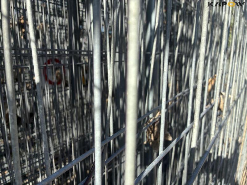 Galvaniseret byggepladshegn 27