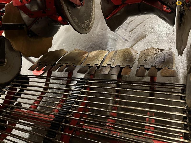 Grimme EVO 280 kartoffeloptager 16