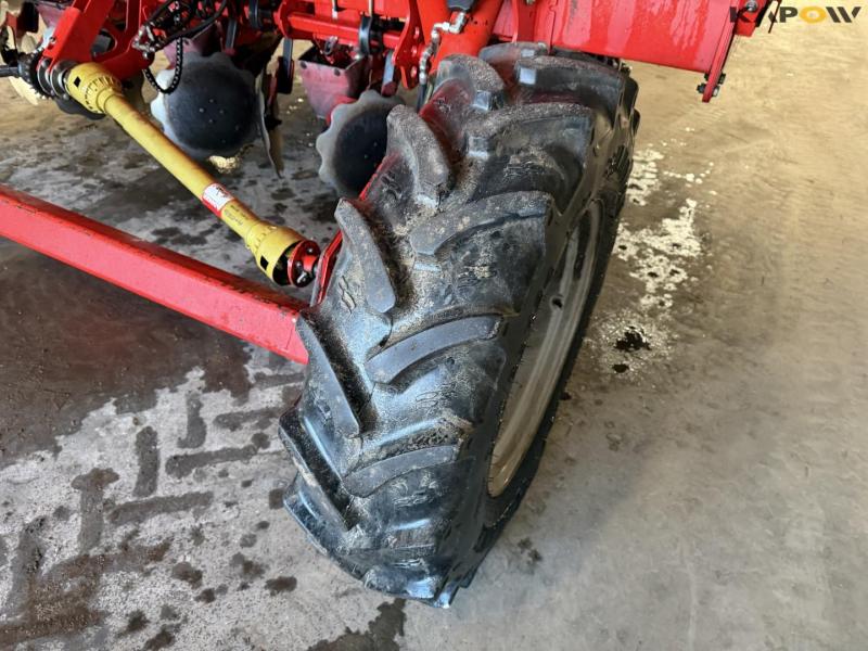 Grimme GL34 T kartoffellægger 60