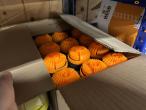 Hjælpematerialer 34