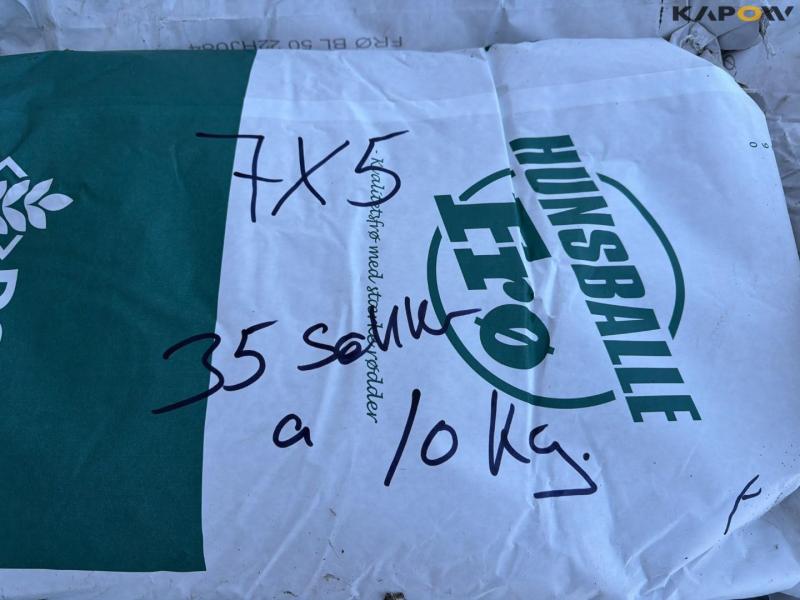 Hunsballe frø 10