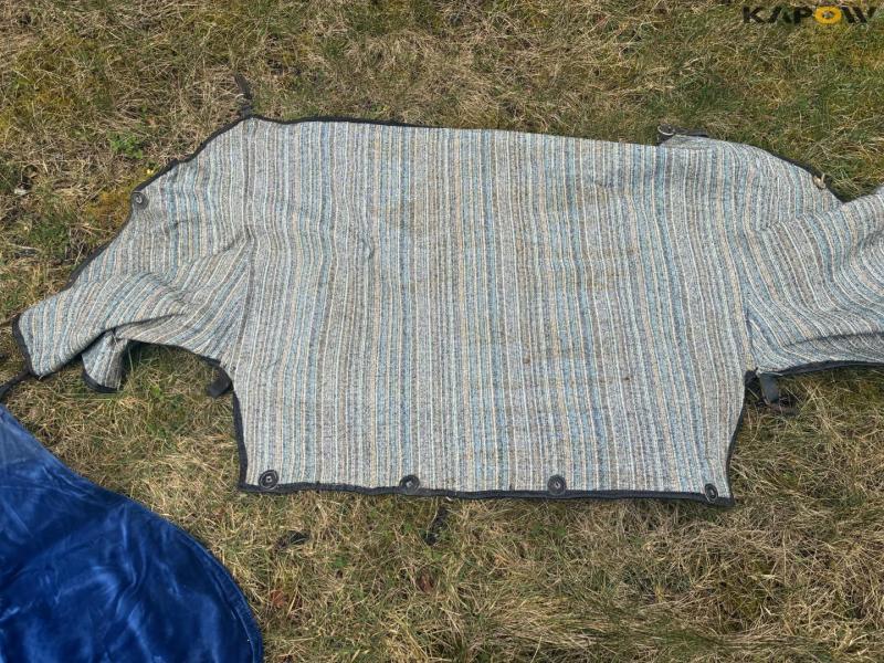 J.H. Hildebrandt hestevogn 28