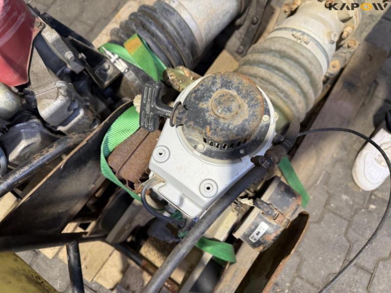 Jordloppe - 2stk. 16