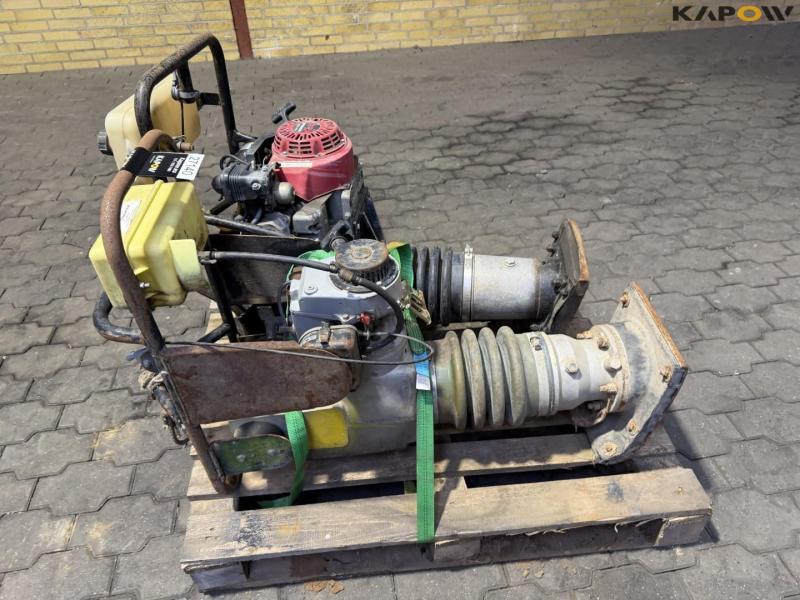 Jordloppe - 2stk. 19