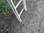 Jumbo stiger - mange modeller 16
