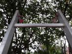 Jumbo stiger - mange modeller 19