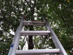 Jumbo stiger - mange modeller 25