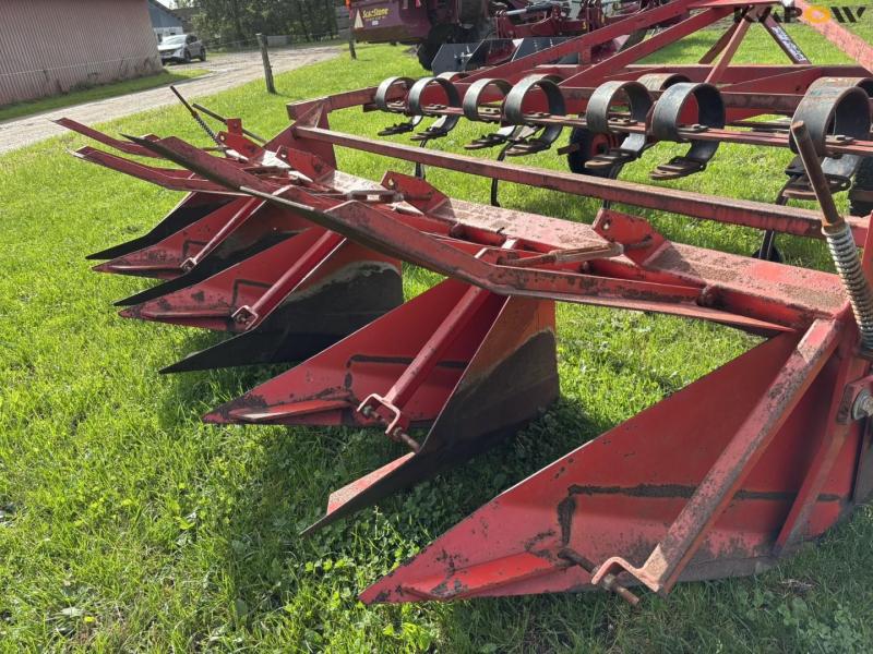 Kartoffelhypper med kamforme 26