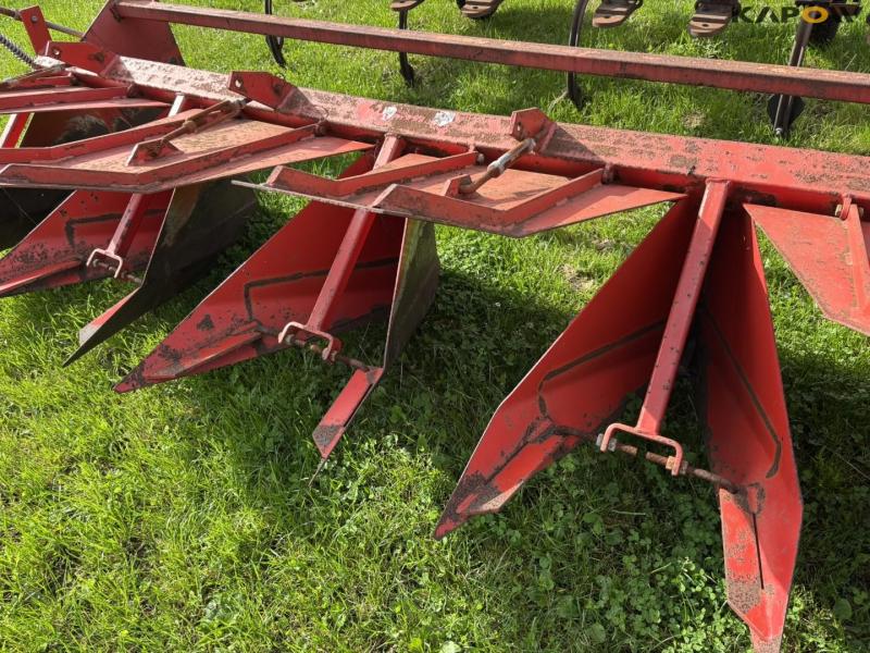 Kartoffelhypper med kamforme 28