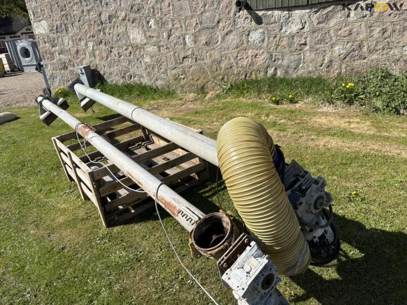 Kornsnegle - 2 stk. 1