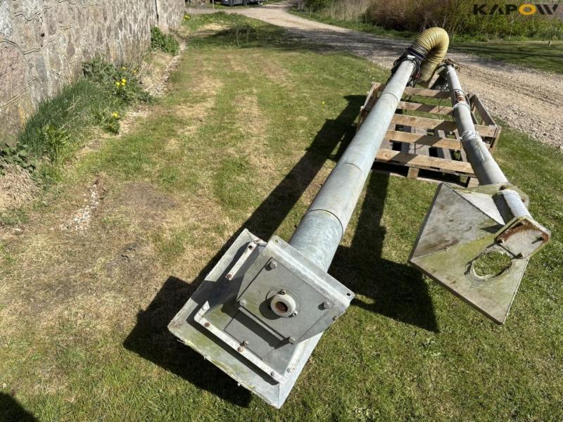 Kornsnegle - 2 stk. 2