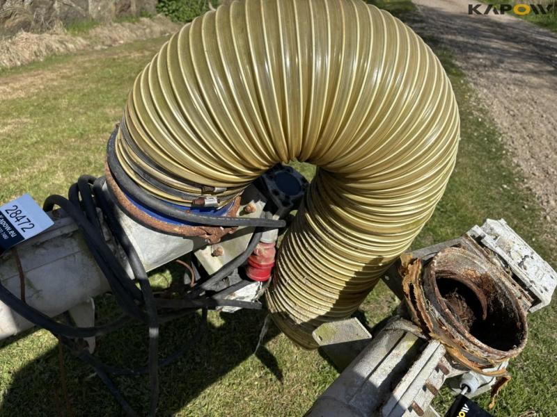 Kornsnegle - 2 stk. 6