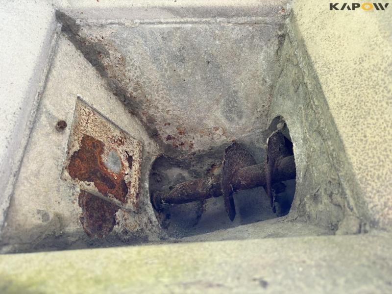 Kornsnegle - 2 stk. 13