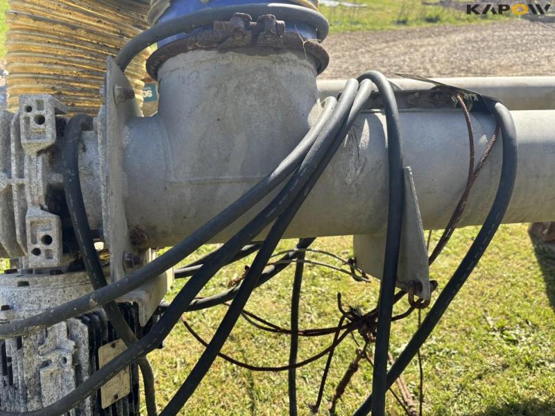 Kornsnegle - 2 stk. 19