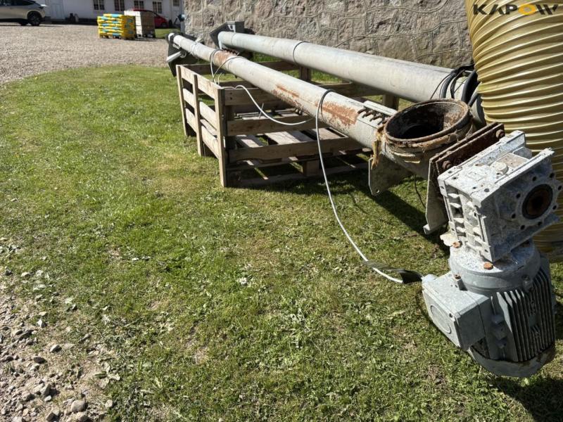 Kornsnegle - 2 stk. 25