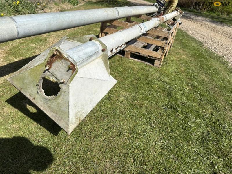 Kornsnegle - 2 stk. 26