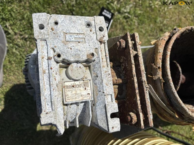 Kornsnegle - 2 stk. 32