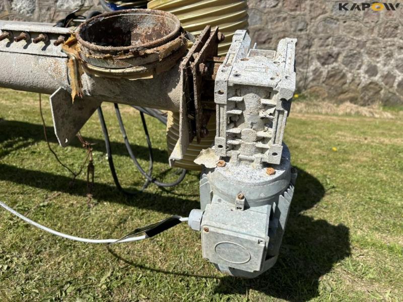 Kornsnegle - 2 stk. 34