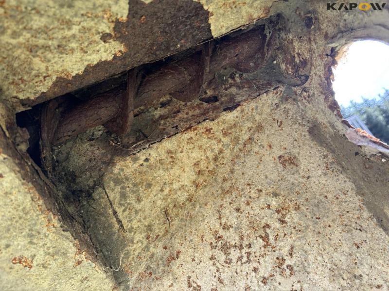 Kornsnegle - 2 stk. 43