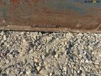 Kuhn BAV 1550 brakpudser 18