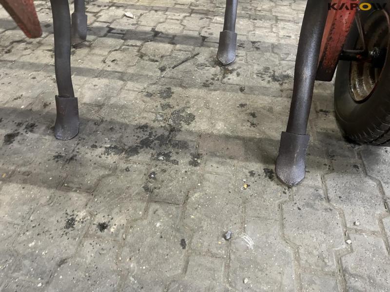 Marsk stig 13 tands stubharve 11