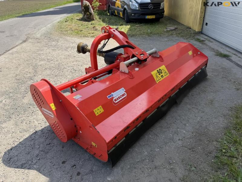 Maschio tigre slagleklipper 7