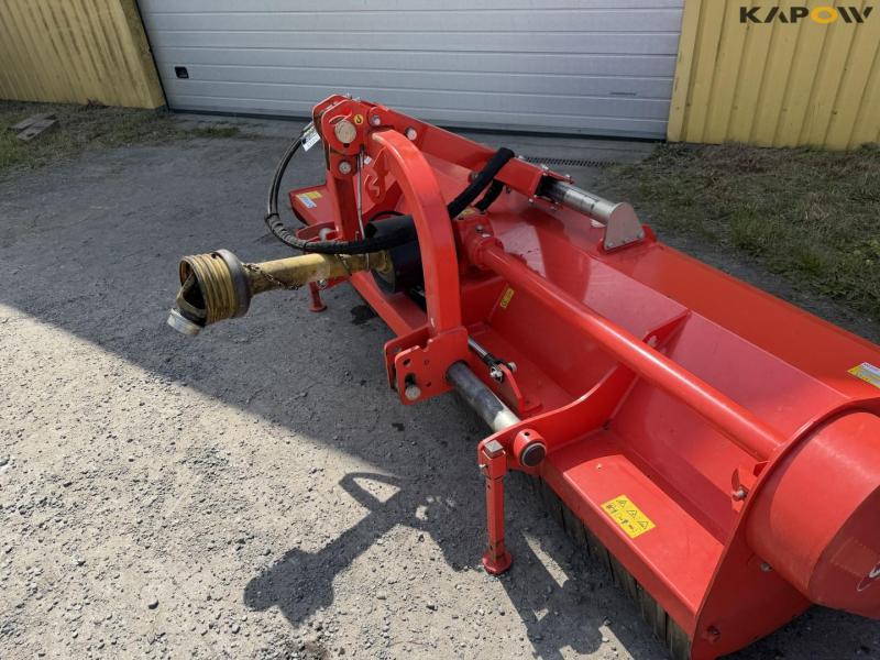 Maschio tigre slagleklipper 9