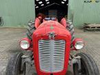 Massey Ferguson 35 Benzin 11