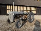 Massey Ferguson 35 traktor 1