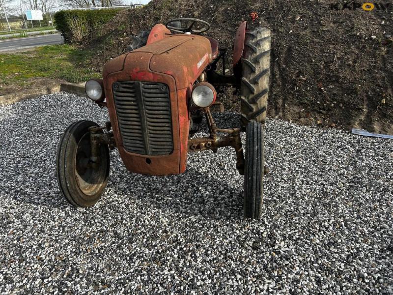 Massey Ferguson 35 traktor 2