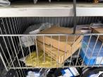 Mercedes-Benz Sprinter 319 DCI varebil 64