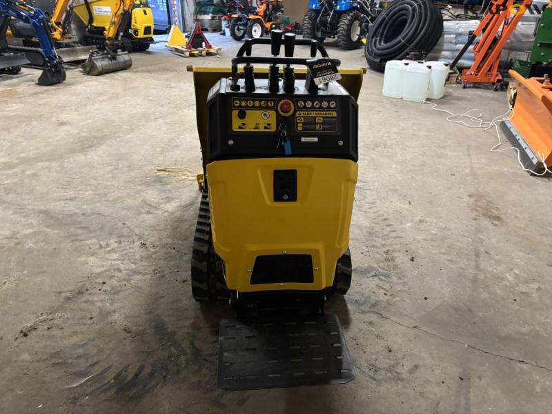 Mini dumper T50FL minidumper 6