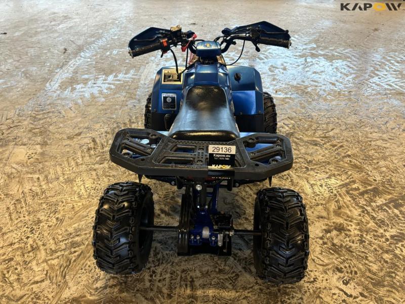 Mudhawk 110cc ATV 6