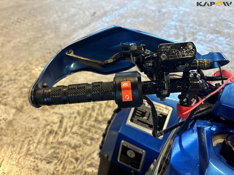 Mudhawk 110cc ATV 11