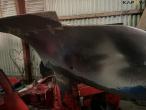 Naud RVN 457 5 furet plov 15