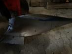 Naud RVN 457 5 furet plov 16