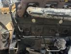 Perkins motor 31